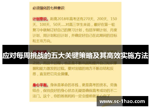 应对每周挑战的五大关键策略及其高效实施方法