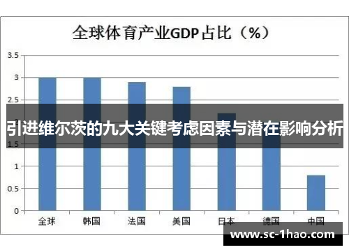 引进维尔茨的九大关键考虑因素与潜在影响分析