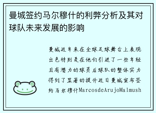 曼城签约马尔穆什的利弊分析及其对球队未来发展的影响