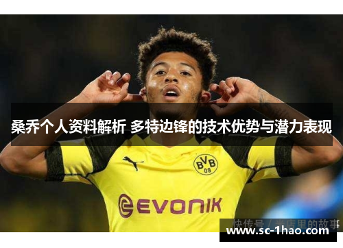 桑乔个人资料解析 多特边锋的技术优势与潜力表现