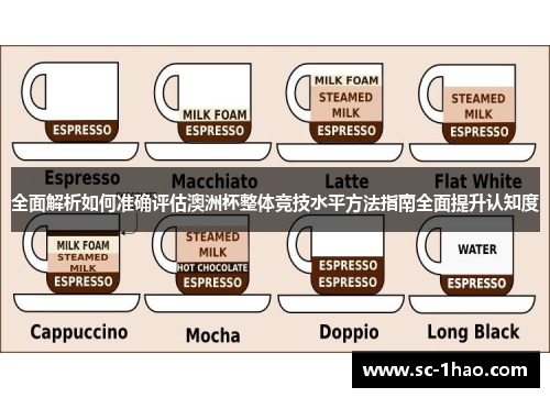 全面解析如何准确评估澳洲杯整体竞技水平方法指南全面提升认知度