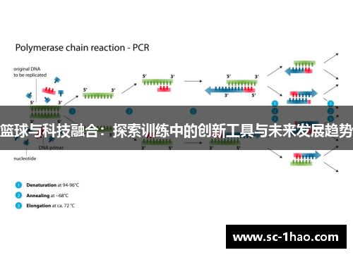篮球与科技融合：探索训练中的创新工具与未来发展趋势