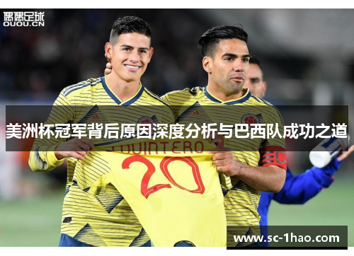 美洲杯冠军背后原因深度分析与巴西队成功之道