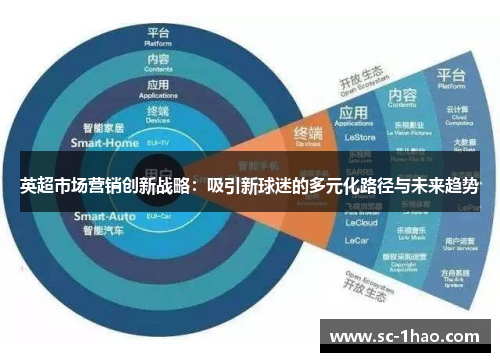 英超市场营销创新战略：吸引新球迷的多元化路径与未来趋势
