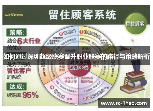 如何通过深圳超级联赛晋升职业联赛的路径与策略解析