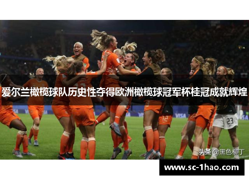 爱尔兰橄榄球队历史性夺得欧洲橄榄球冠军杯桂冠成就辉煌