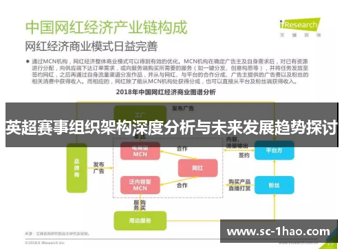 英超赛事组织架构深度分析与未来发展趋势探讨