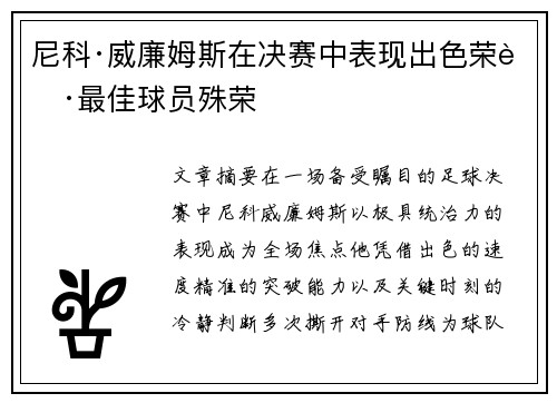 尼科·威廉姆斯在决赛中表现出色荣获最佳球员殊荣 尼科·威廉姆斯在决赛中表现出色荣获最佳球员殊荣